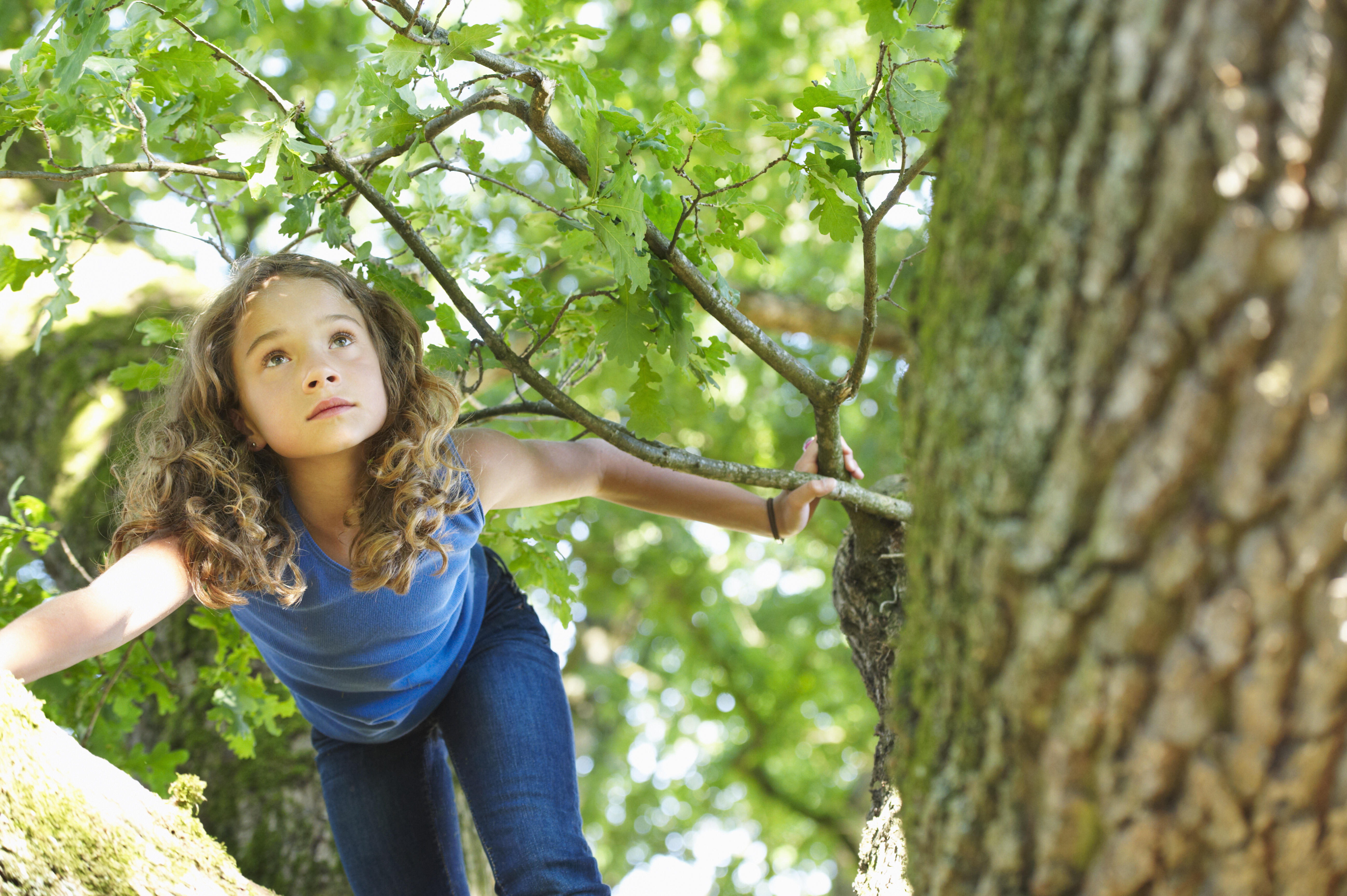 enfant grimpant aux arbres